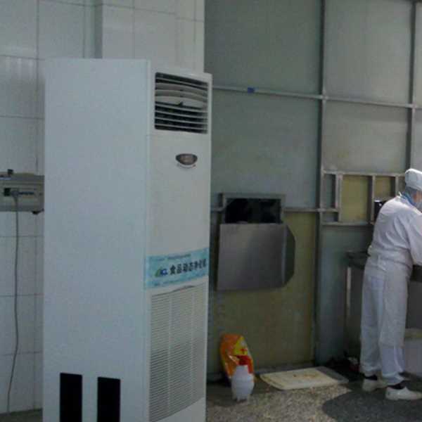 本地食品正负离子空气杀菌器